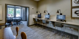 AMLI at Seven Bridges Gallery 38