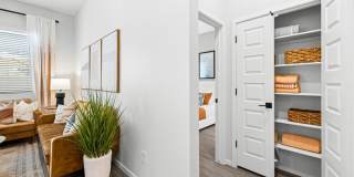 Canopy at Sundance Gallery 55