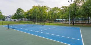 The Landings of Brentwood Apartments Gallery 25