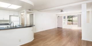 Ocean Crest Gallery 8