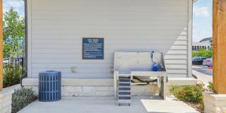 Bluestem at Loyola Gallery 28