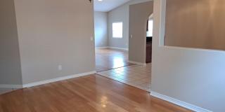 3413 Jasmine Trace Lane Gallery 11
