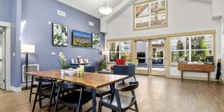 Element 170 Gallery 12