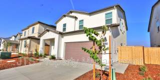 3040 Leap Frog Loop Gallery 1