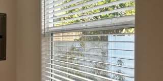 247 1/2 S CATALINA Ave Gallery 18