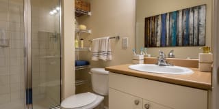 Windsor at Tryon Village Windsor at Tryon Village Gallery 33