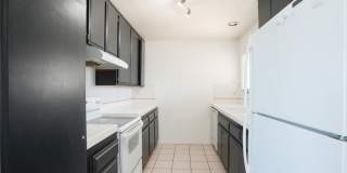 833 Cinnamon Gallery 9