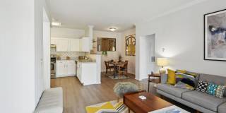 Alvista Bowie Gallery 6