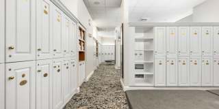 5236 Via De Amalfi Drive Gallery 45