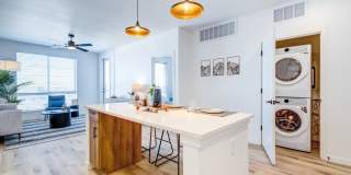 Tempo at Nine Mile Station Gallery 12