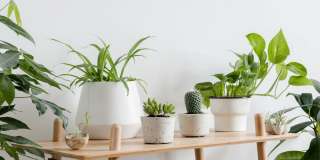 Memorial Fountain Gallery 32