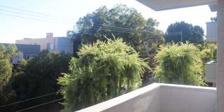 Hillside Terrace Gallery 73