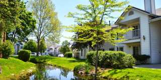 Carriage Crossing Gallery 5