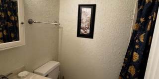 Furnished 2BR, 2BA Condo with Backyard in Arlington Gallery 9