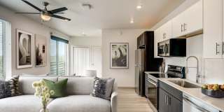 Vine at Panorama Gallery 14