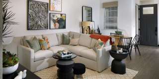 Sierra Vista Gallery 15