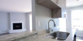 Berry Tree Gallery 1