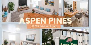 Aspen Pines Gallery 1