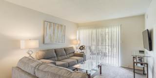 Imperial Palms Gallery 24