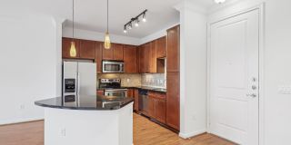 Forum on San Felipe Gallery 12