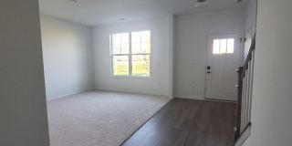4499 Chelsea Manor Circle Gallery 3