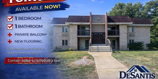 508 Lunar Lane Gallery 1