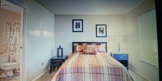 The Woods at Windrose Creek Gallery 16