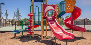 Renaissance Apartments - Affordable Housing Gallery 11