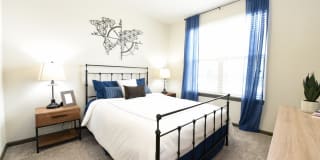 Springs at 2534 Gallery 11