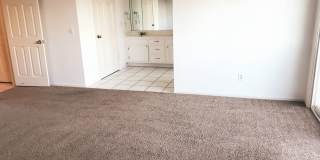 *DO NOT DISTURB TENANTS- 4 bedroom 2 bath home w/POOL!! Gallery 28