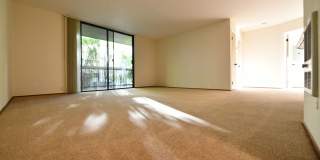 1p042 - Staten Property Gallery 4