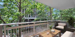Crystal Plaza Apartments Gallery 58