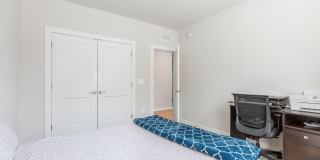 44504 WOLFHOUND Square Gallery 22