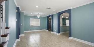 Gorgeous 4-Bedroom Single-Family Home with Pool in Summerfield Gallery 5