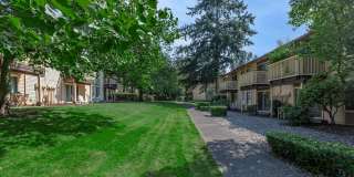 Carrington Gallery 9