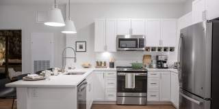 The Lodge Gallery 15