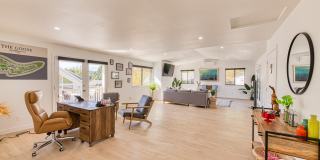 The Goose Gallery 13