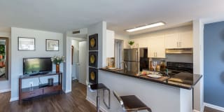 Ravens Crest Gallery 5