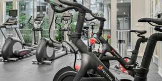 Greenwood Plaza Gallery 61