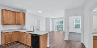 Reid's Prospect Gallery 3