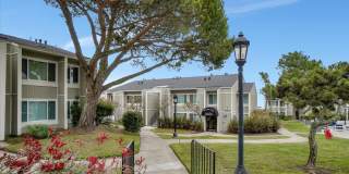 Skyline View Gallery 3