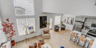 Mt. Rainier Gallery 20