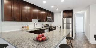 Hampton Manor Gallery 2