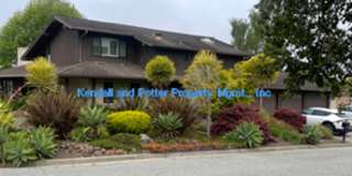Beautifully Remodeled 4 Bed/2 Full Bath + 2 1/2 Bath Country Club Park Home Gallery 3
