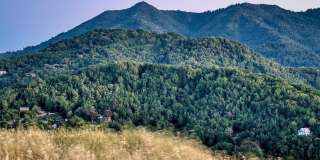 162 Throckmorton Avenue Gallery 45