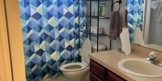 12221 MADISON CREEK Drive 12221 MADISON CREEK Drive Gallery 20