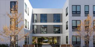 The Basin Gallery 38