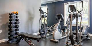 Greenhouse Gallery 6