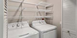 Encore Skyline Gallery 5