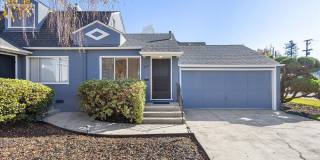 3131 Fernside Blvd - 1 bedroom | 1 bathroom Gallery 1